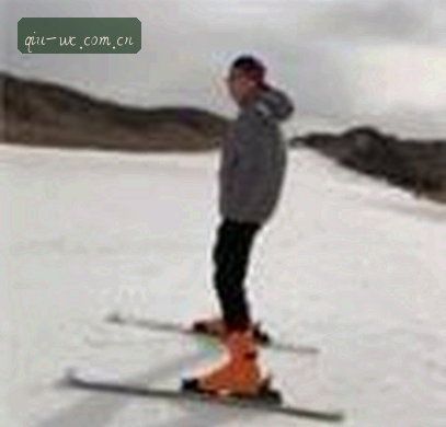 赵雪
